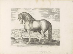 Horse from Friesland