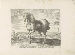 Horse from Gelre by Anonymous