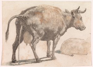 Pissing cow by Anonymous