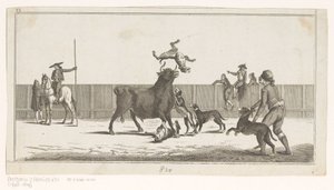 Bull Attacked by Dogs by Anonymous