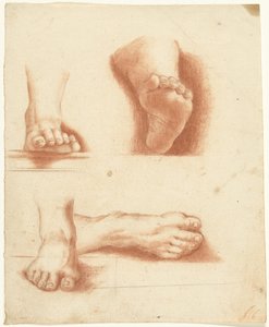 Study of Four Feet