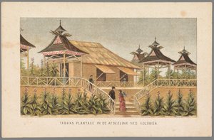 Tobacco Plantation of the Dutch Colonies at the World Exhibition in Amsterdam, 1883 by Anonymous