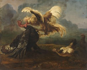 The Flemish Cock and the Turkish Cock
