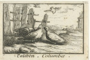 Two Doves by a Fence by Anonymous