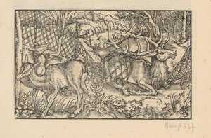 Two Hinds and a Stag Caught in a Net