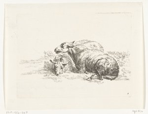 Two Lying Sheep (Goats and Sheep after N.P. Berchem)