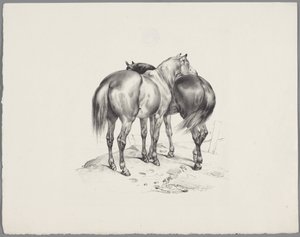 Two horses seen from behind (Six small animal studies series) by Anonymous