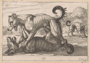 Two Mating and Two Fighting Dogs (Fighting Animals)