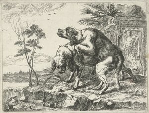 Two Mating Dogs (Dogs)