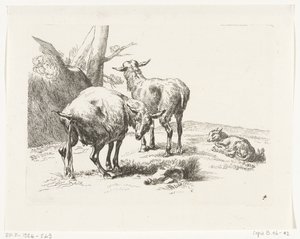 Two Standing Goats and a Young Goat (Goats and Sheep after N.P. Berchem)
