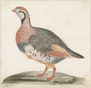 Veldhoen