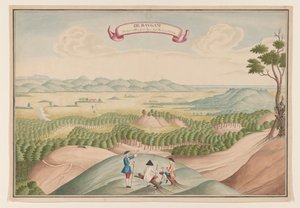 View of the Pepper Plantation in the Baygam Area by Anonymous