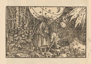 Woman with Spindle in a Forest and a Celestial Vault