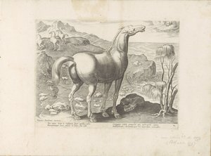 Zephyrus Impregnates a Mare (Horse Breeds from the Royal Stables of Don Juan of Austria)