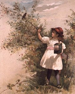 Enticing a Robin