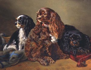 King Charles Spaniels by Anonymous Anonymous