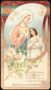 Our Lady Protecting and Guiding the Way to Heaven - 20th century pious image - Private collection
