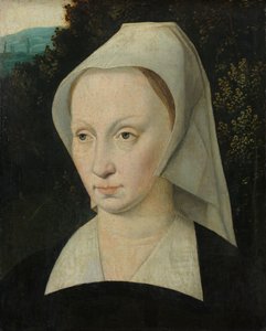 Portrait of a Woman