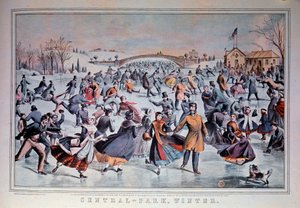 Skating on the Frozen Lake of Central Park in New York City, USA