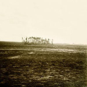 Stereoscopic glass plate on the First World War