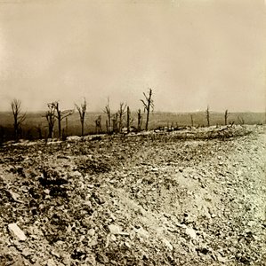Stereoscopic glass plate on the First World War by Anonymous Anonymous