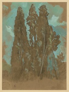 Study of Cypresses