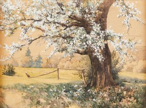 Blooming Tree