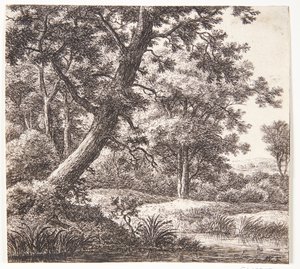 Stream with a Leaning Tree by Anthonie Waterloo