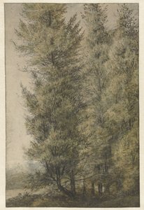 Tall Pines at the Edge of a Forest by Anthonie Waterloo