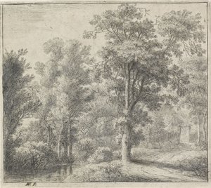 Entrance to the Forest