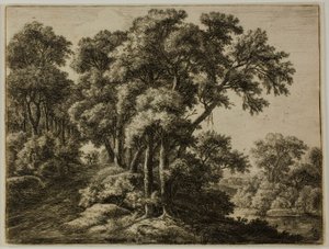The Wooded Path by Anthonie Waterloo