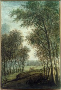 Forest Edge by Anthonie Waterloo