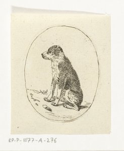 Sitting Dog by Anthonie van den Bos