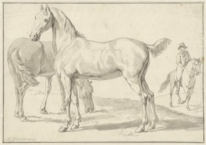 Two Horses in a Meadow, Rider on the Right