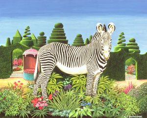 Zebra in a Garden