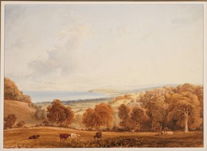 Distant view of Dunster, Somerset