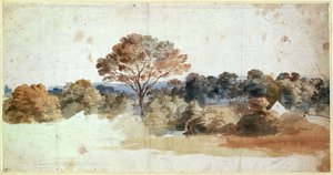 A Landscape