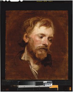 A Bearded Man, a Study
