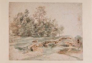 A clump of trees by a wooded road by Anthony van Dyck