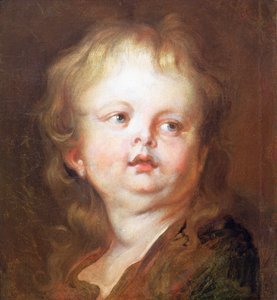 Head of a Boy by Anthony van Dyck