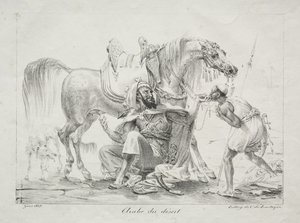 Arab of the Desert by Antoine-Jean Gros