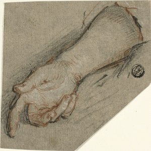 Back of Hand and Forearm