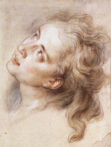The Head of an Angel, Looking up to the Left by Antoine Coypel
