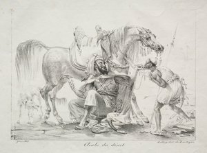 Arab of the Desert by Antoine Jean Gros