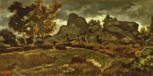 Forest at Fontainebleau