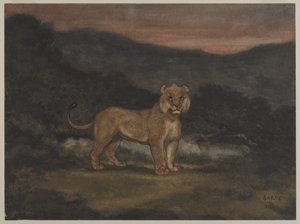 Standing Lioness