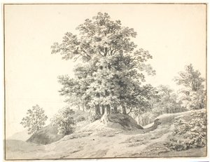 Landscape with Large Trees by the Elbe. Buxtehude by Anton Carl Dusch