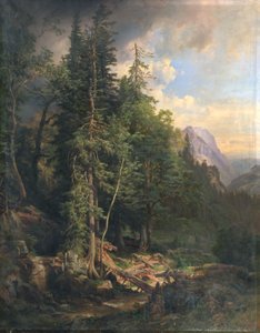 From the Styrian Mountain Forests near Neuberg
