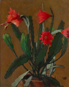 Still Life with Blooming Cactus by Anton Hula