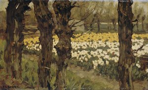 Tulip Fields by Anton L. Koster